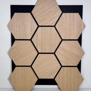 Hexagon Acoustic Wall Panel - Wood Veneer 5 Pics